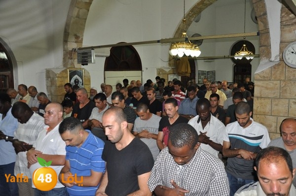 trawe7 7san bek 715 (15).JPG